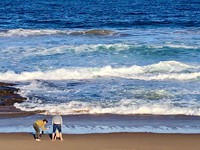 IMG_4546